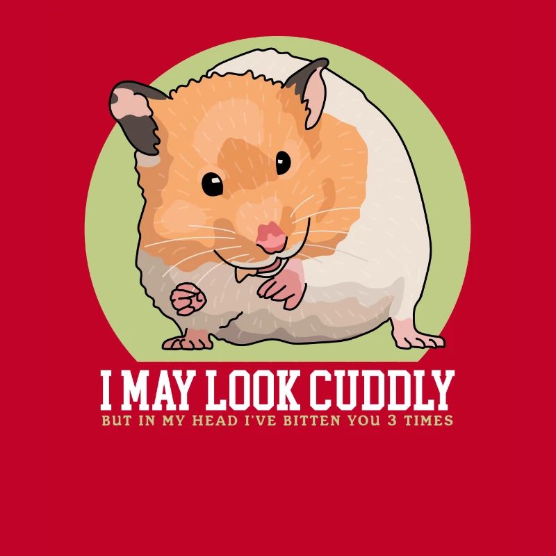 Hamster Golden Hamster | Dwarf Hamster Gift