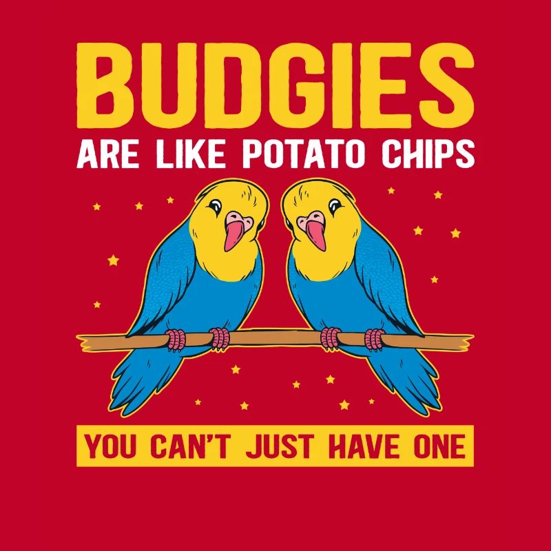 Cadeau de perruche du propriétaire de Budgerigar