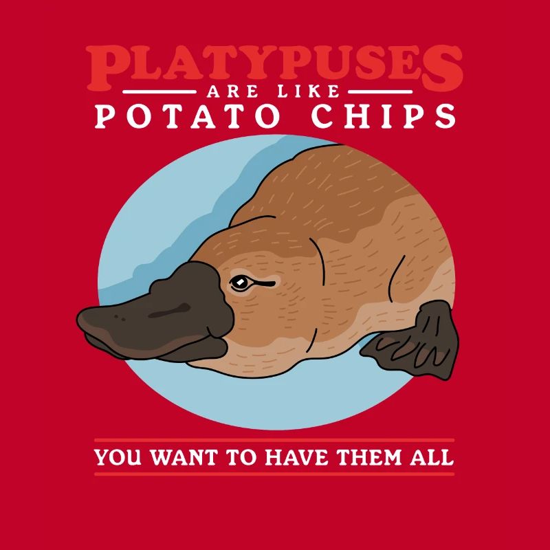 Ornithorynque Platypus Cadeau Ornithorynque