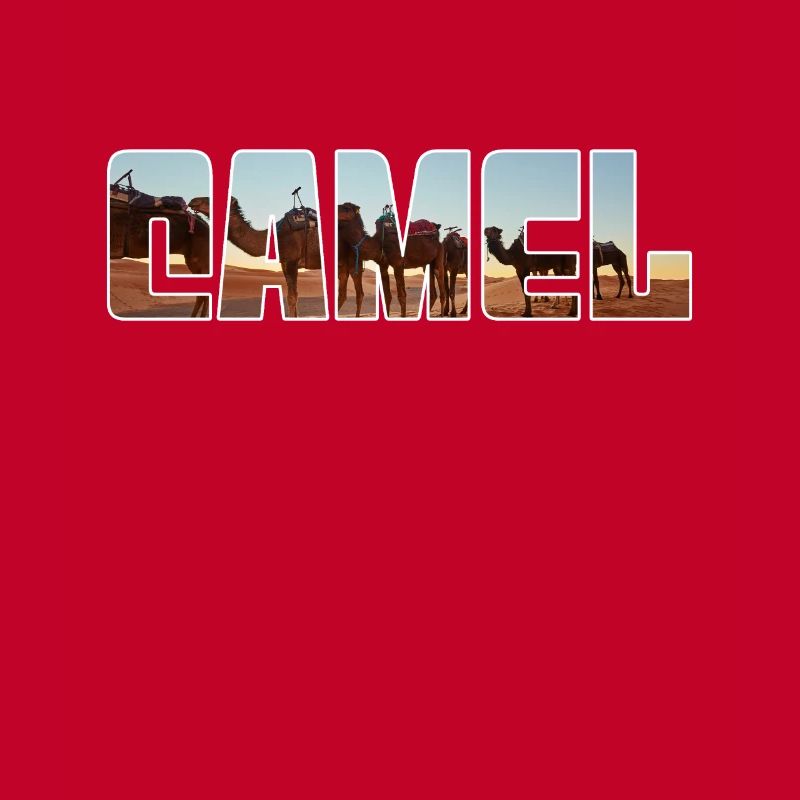 Camel