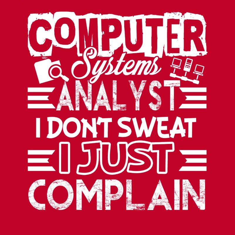Computer Systems Analyst I Just Complain