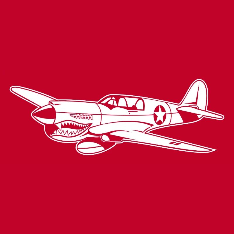 Fighter plane / warplane Warhawk 02_weiß