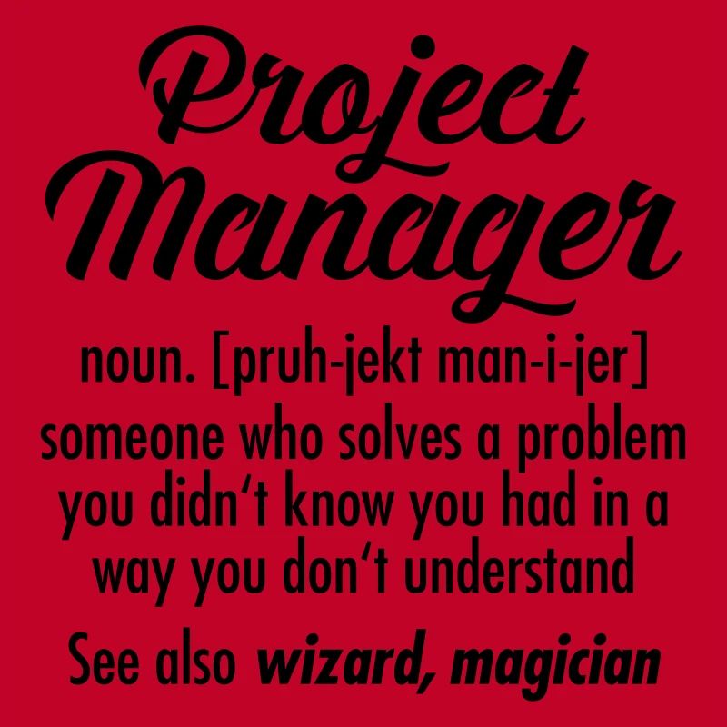 Project Manager - Definition
