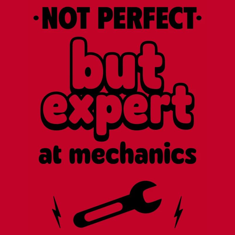 expert at Mechanics