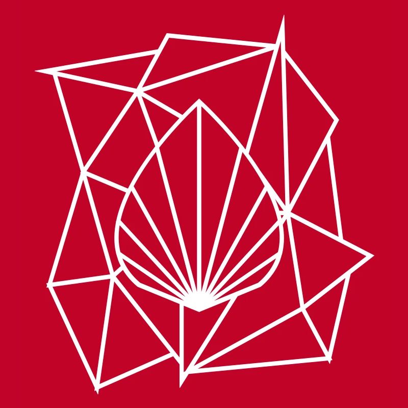 Polygon Augmented Logo