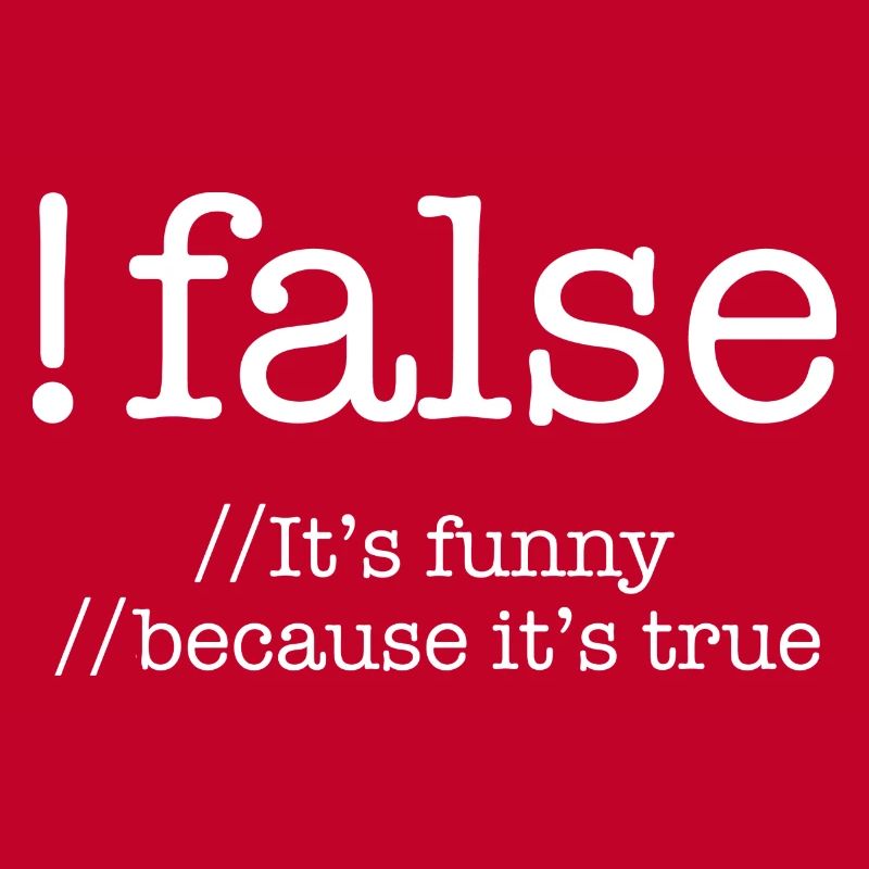 False Programming Coding Programmers Gift