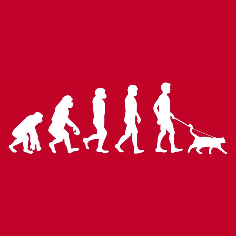 Cats evolution