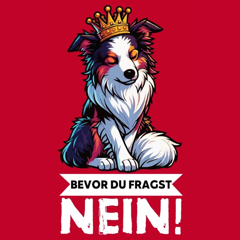 Bevor Du Fragst Australian Shepherd Aussie Aussie