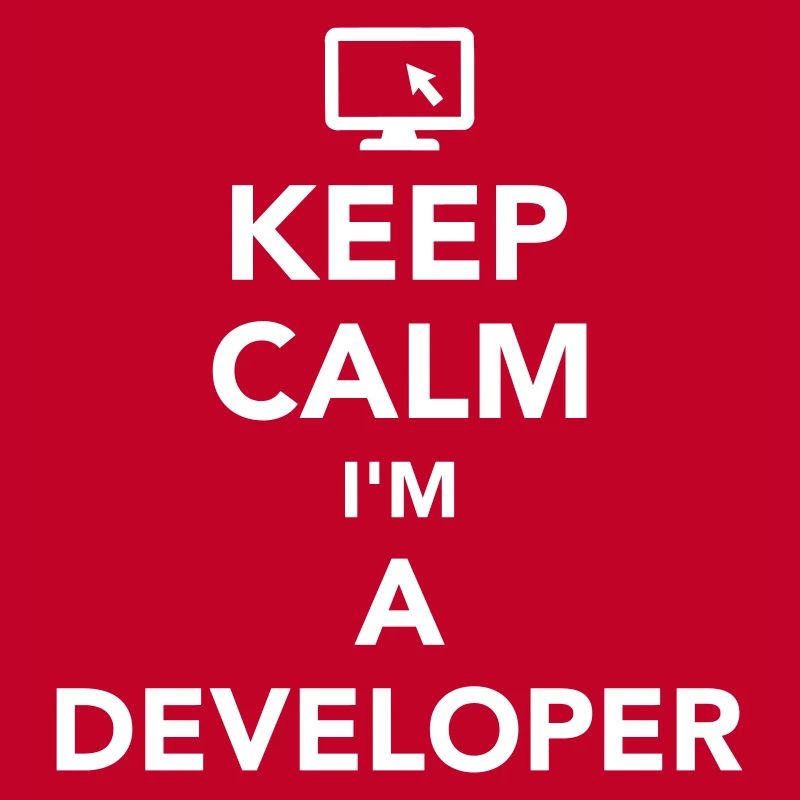 Developer