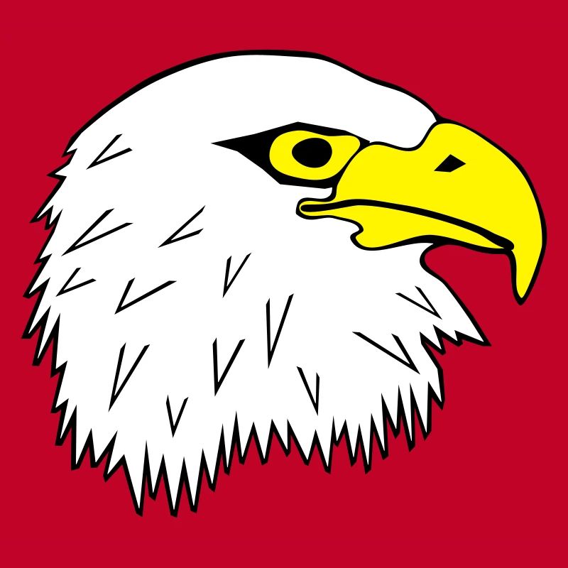Bald eagle white headed seaeagle head motif