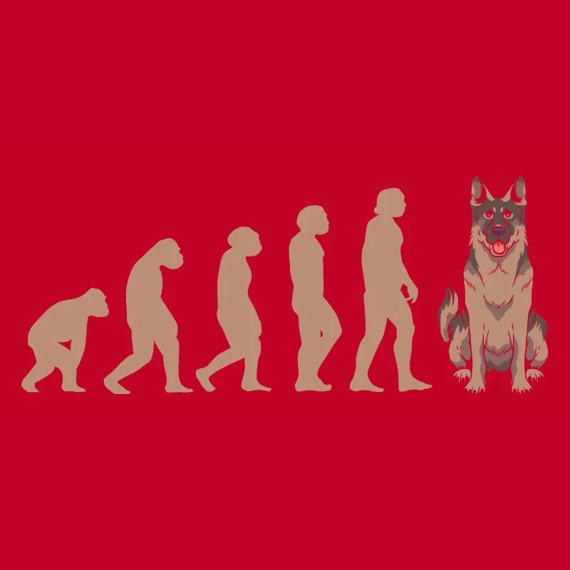 Evolution German Shepherd