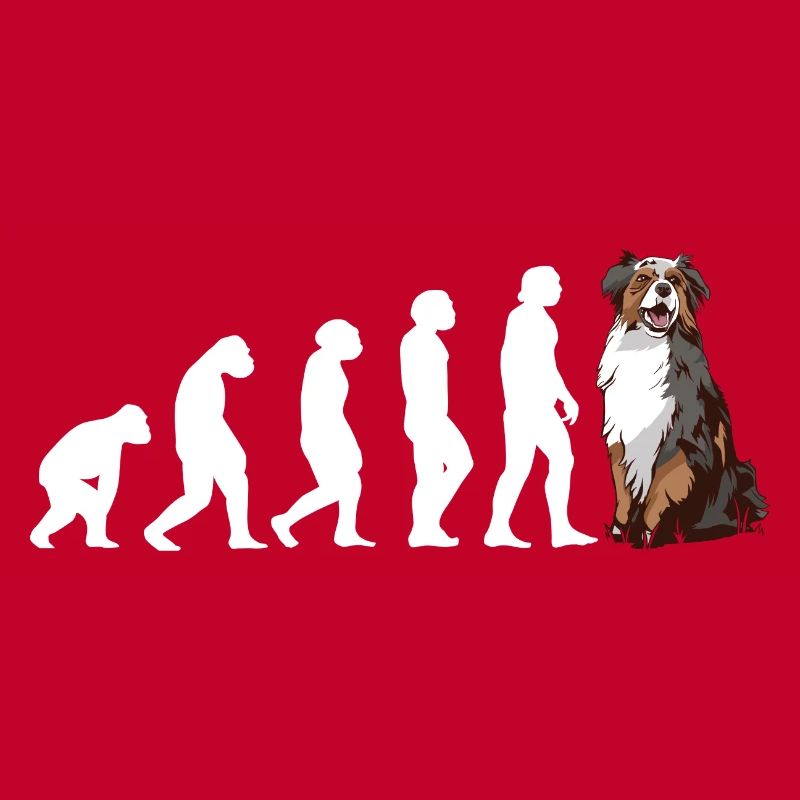 Dog Evolution Aussie
