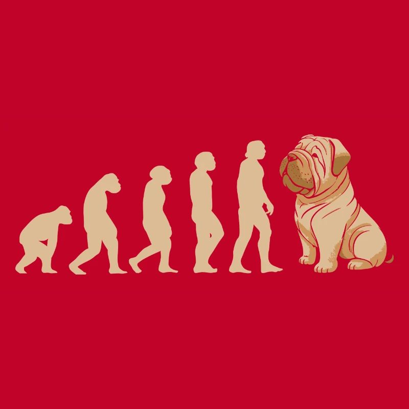 Evolution Shar Pei