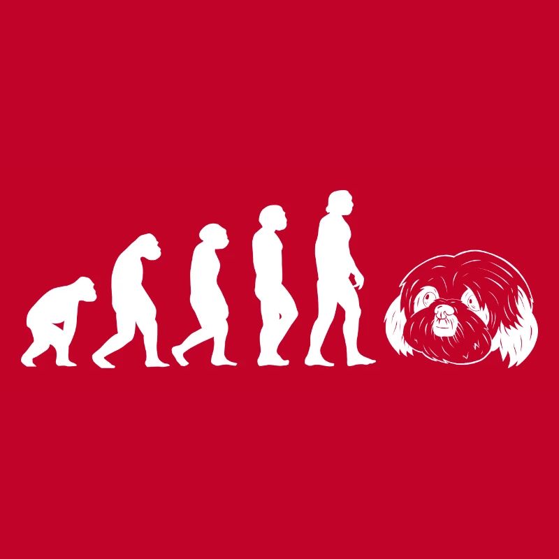 Evolution Shih Tzu