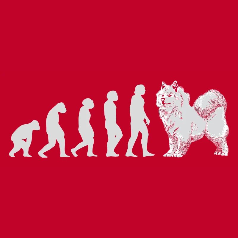 Évolution Samoyède