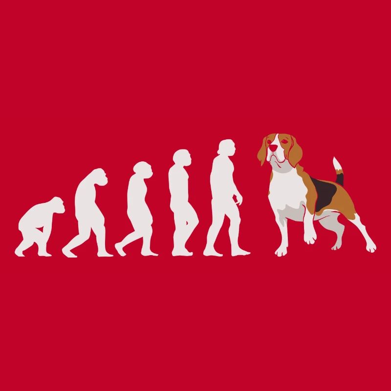 Evolution Beagle