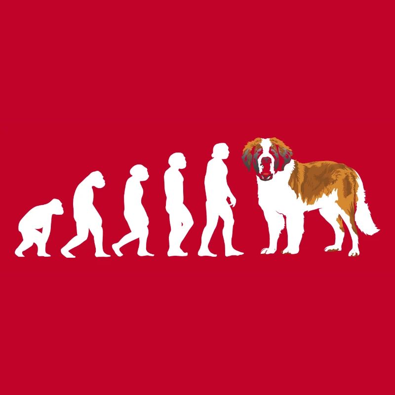 Evolution Saint Bernard