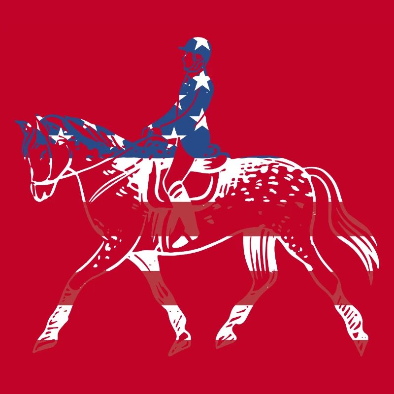 Jumper Drapeau Us Saut d’obstacles