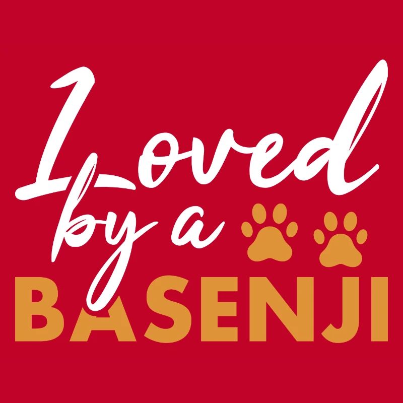 Chien Aimé Par Un Basenji