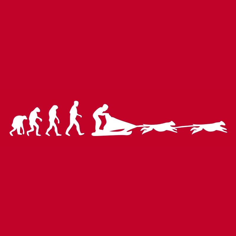 dog sledge evolution