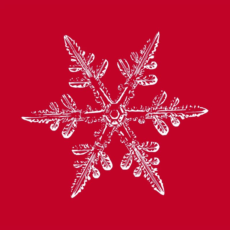 snowflake 8 white