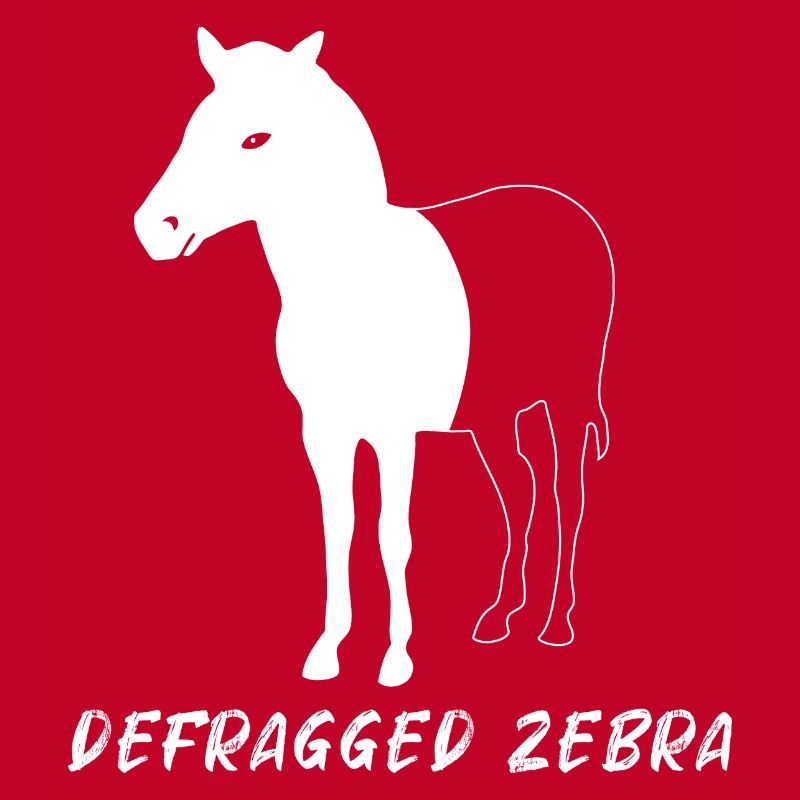 Defragged Zebra Admin Geek Programmer Gift