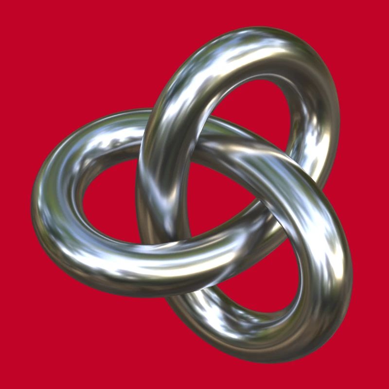 Torusknoten Silber 3D