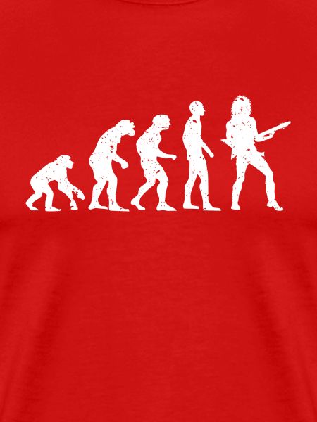EVOLUTION GUITARISTE!