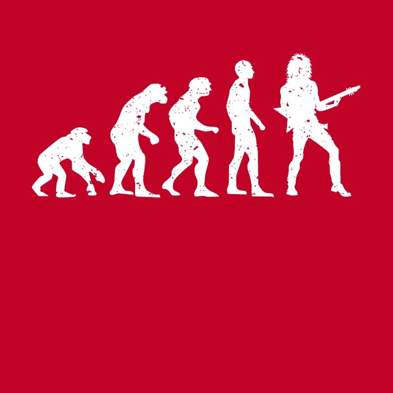 EVOLUTION GUITARIST!