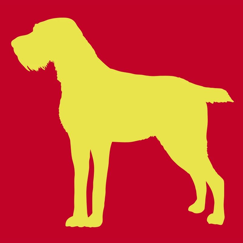 German Wirehaired Pointer