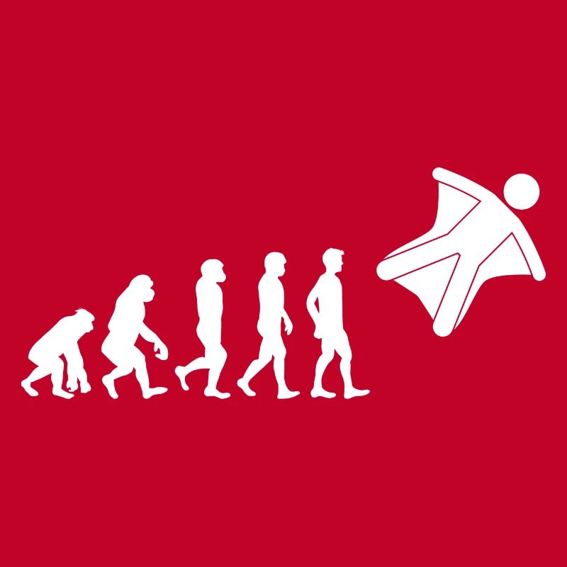 Wingsuit flying Base Jumping Skydiving Evolution