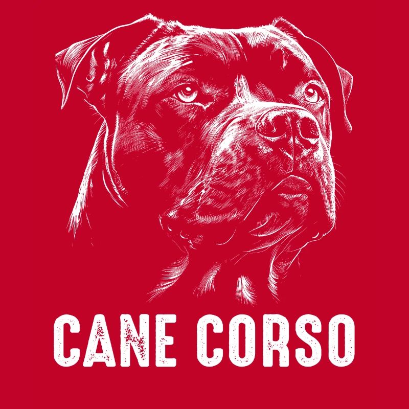 Cane Corso Hund