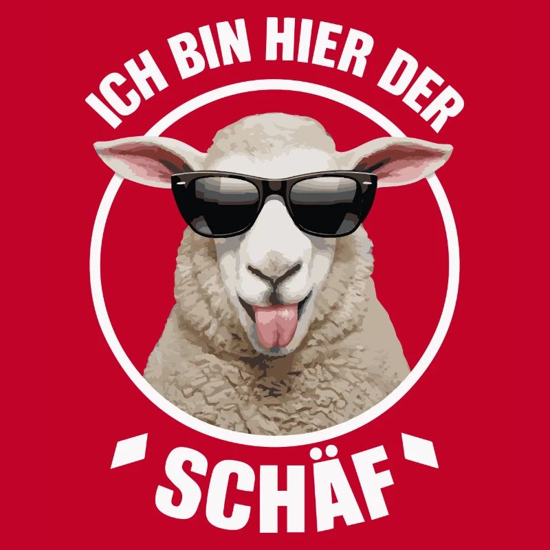 Sheep Sheep Herd Farm Farmer Shepherd