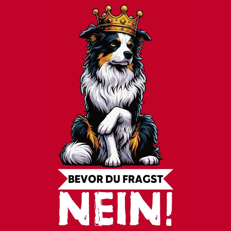 Bevor Du Fragst Australian Shepherd Aussie Aussie