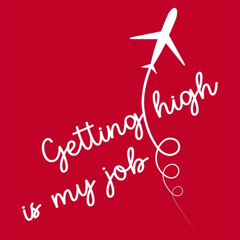 Pilot flies airplane flight hours "getting high"