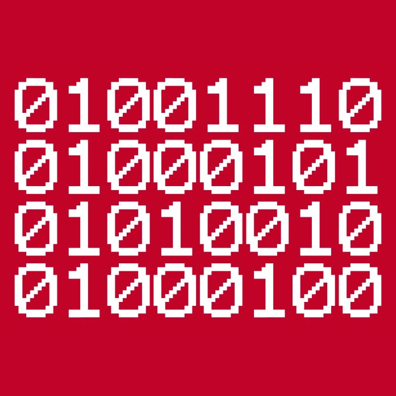 BINARY NERD