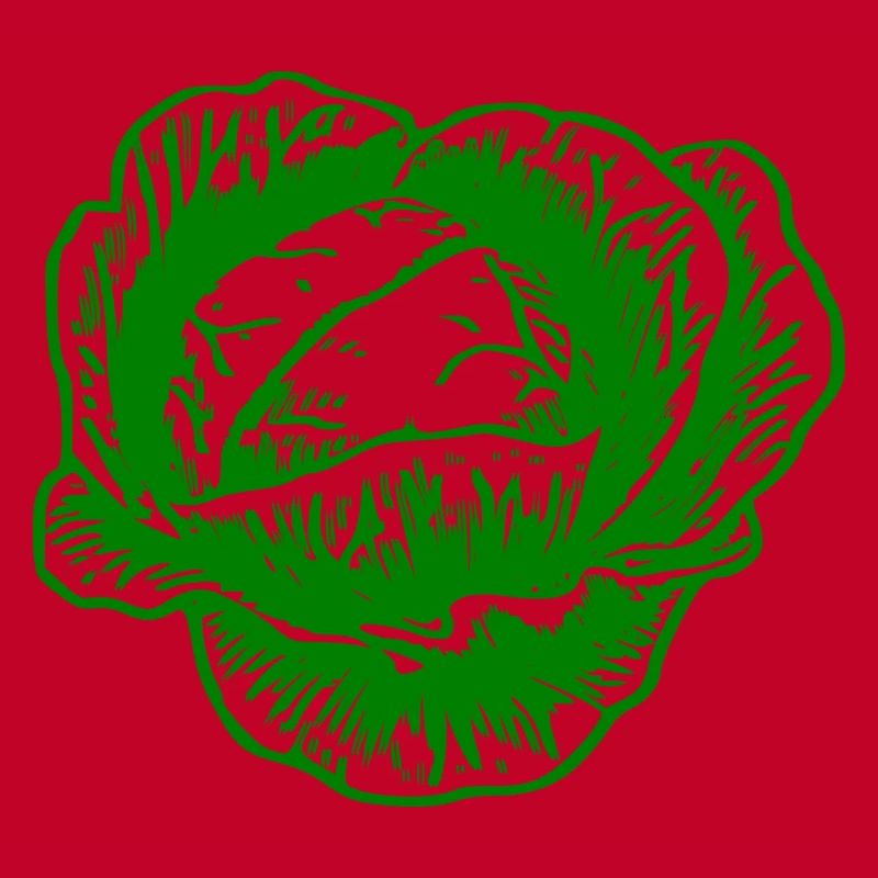 cabbage red cabbage white cabbage cabbage kale veggie gemuese