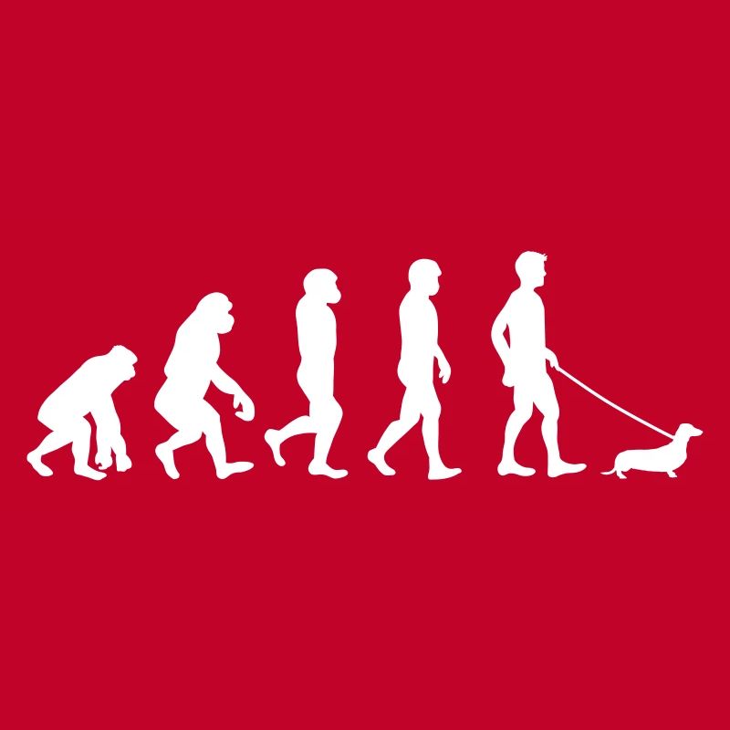 Dackel - Evolution