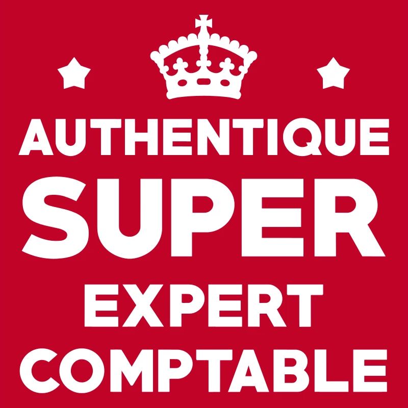 Expert Comptable / Comptabilité / Comptable /