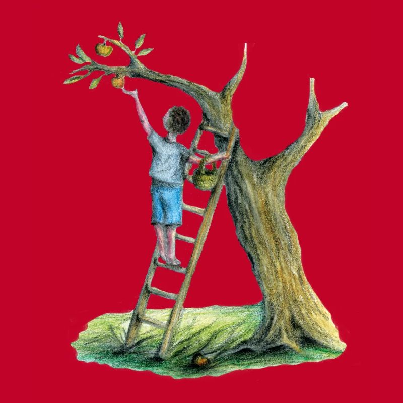 Apfelbaum