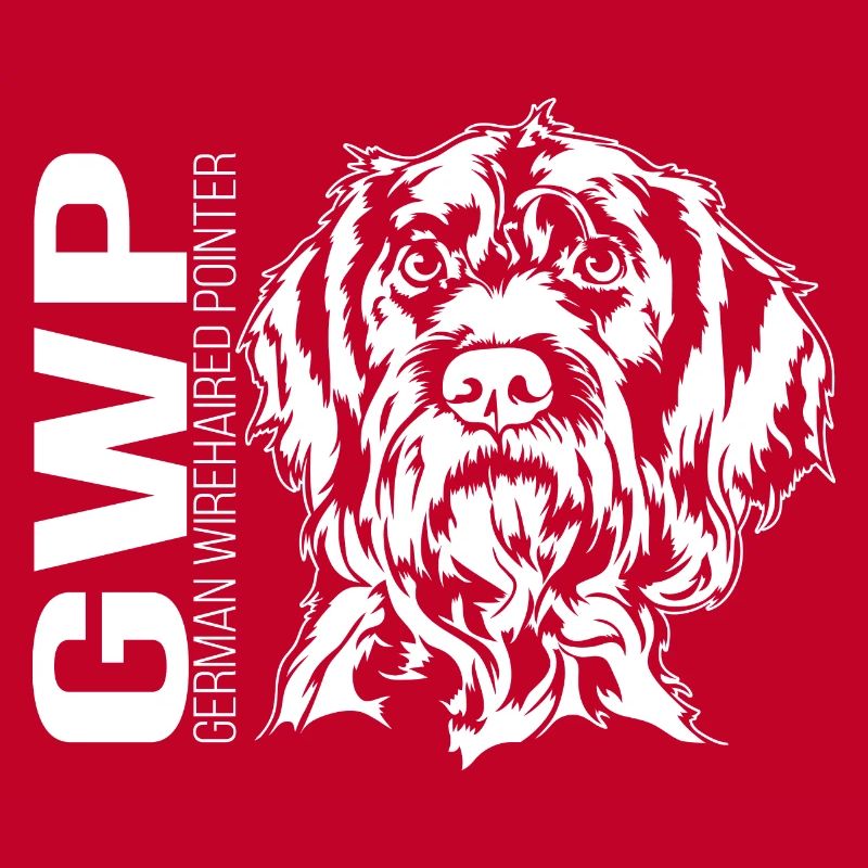German Wirehaired Pointer Portrait Jagdhund Hunde