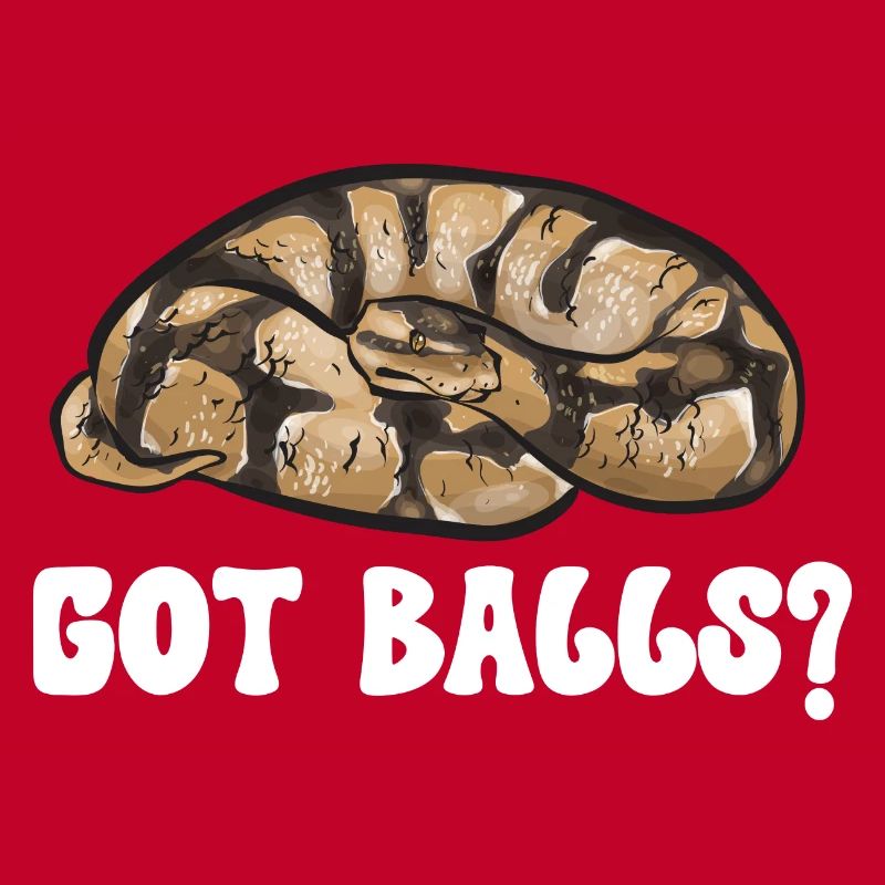 Ball Python Snake King Python