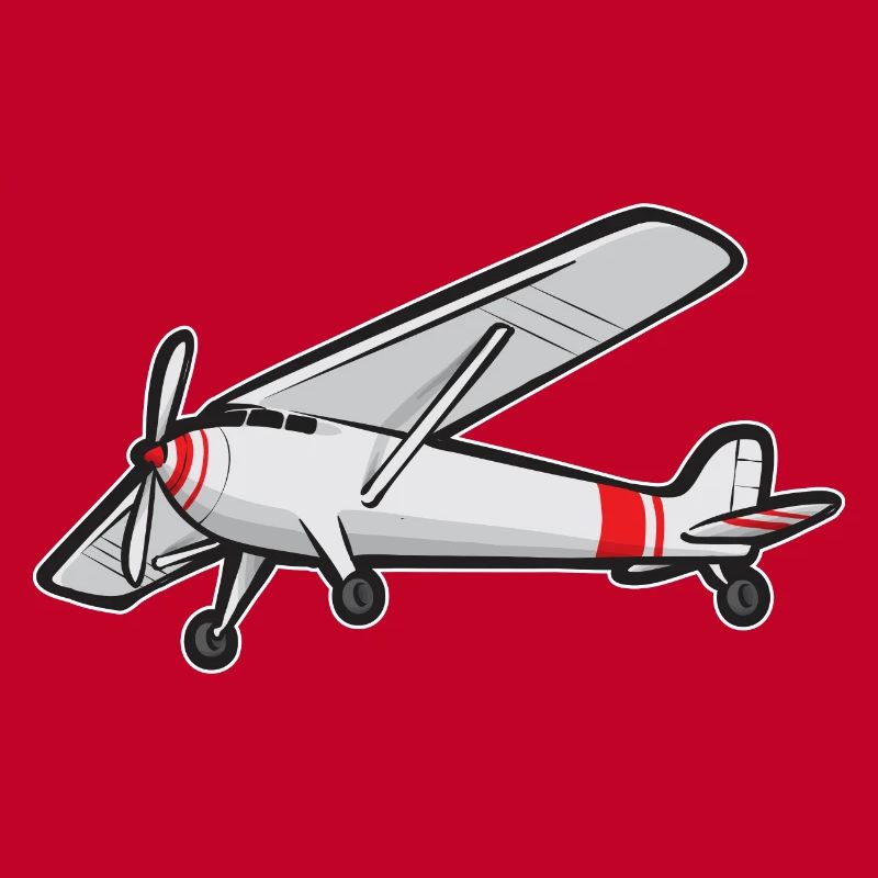 Modèle d’avion télécommandé