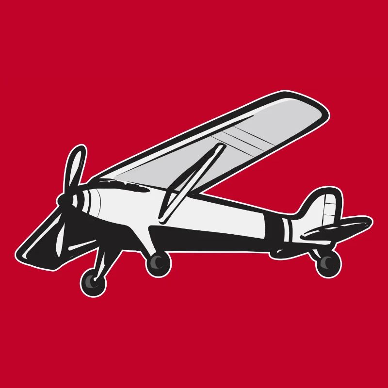 Modèle d’avion télécommandé