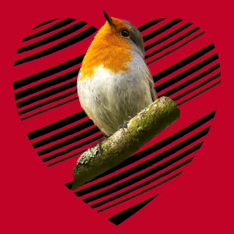 Robin Erithacus rubecula
