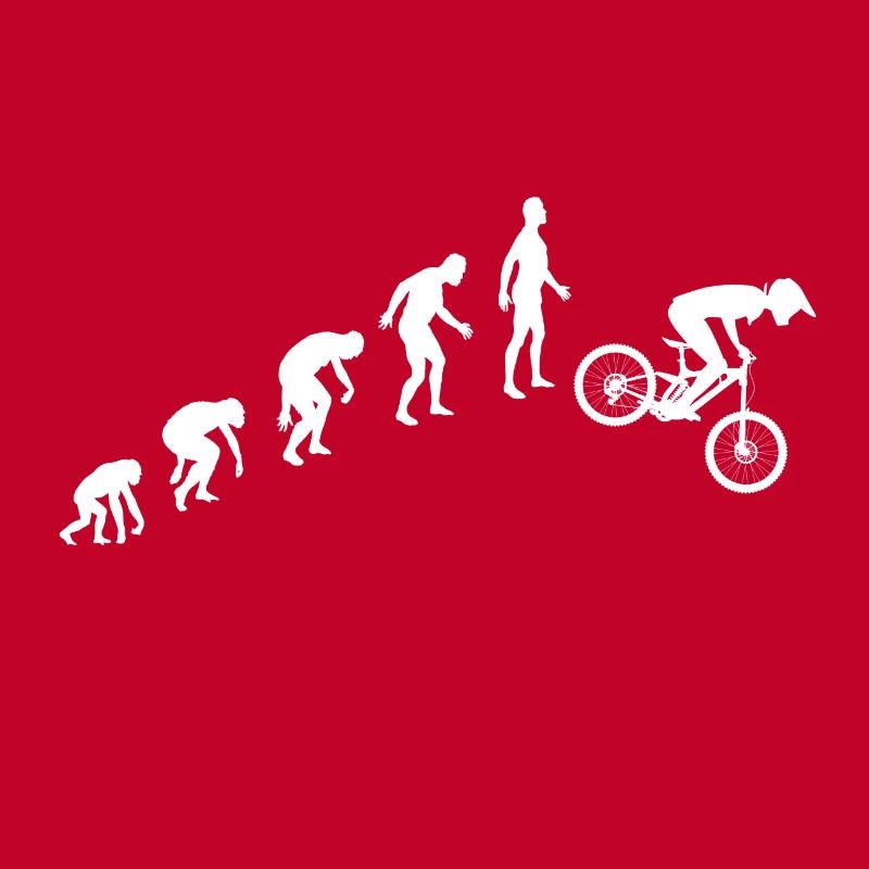 Evolution de la descente