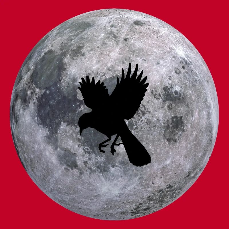 birdsky