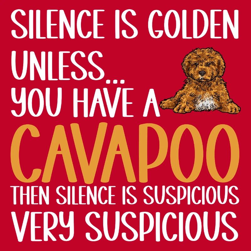 Cavapoo Cavoodle Capoodle Dog