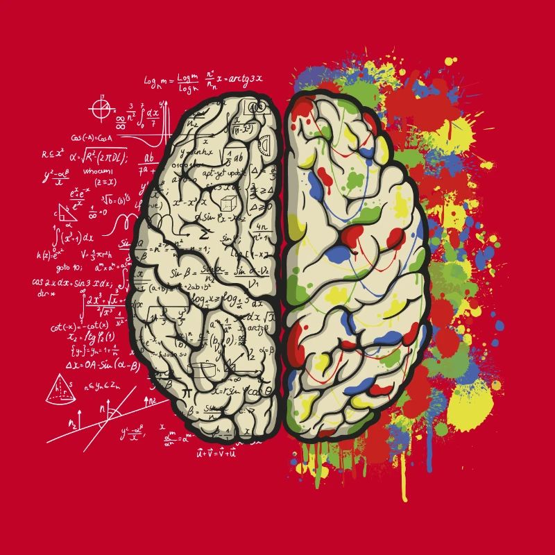Brain Maths