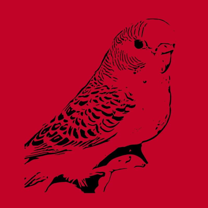 Budgerigar